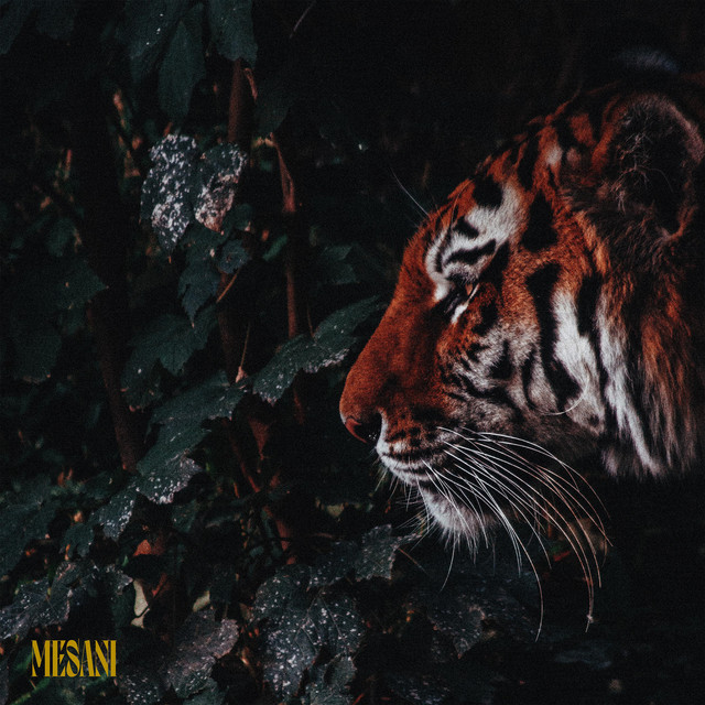 Jungle cover art