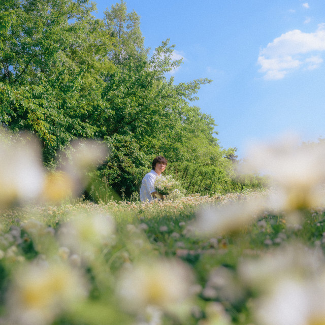 Daisy cover art
