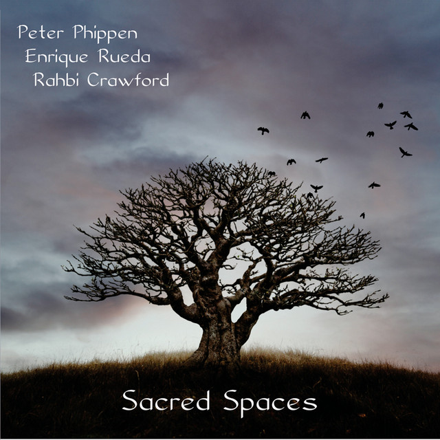 Sacred Spaces cover art