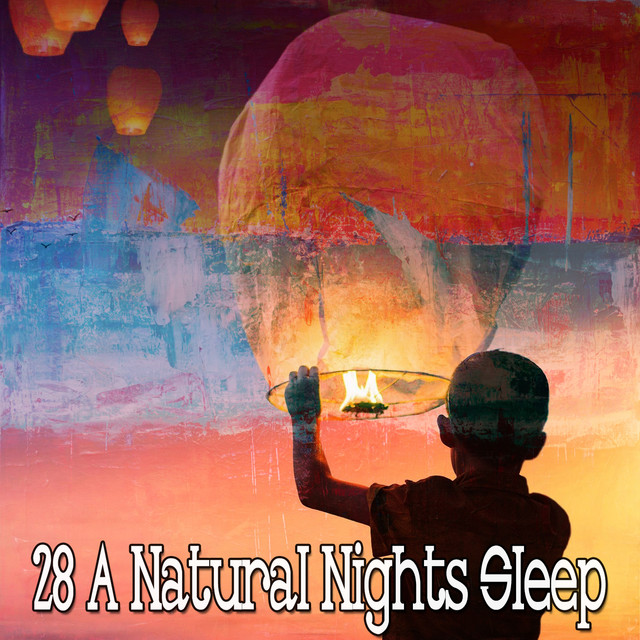 28 A Natural Nights Sleep - Album by Sleep Sounds of Nature | Spotify