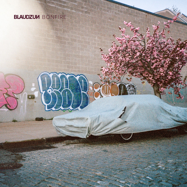 Bonfire cover art