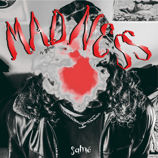 MADNESS cover art