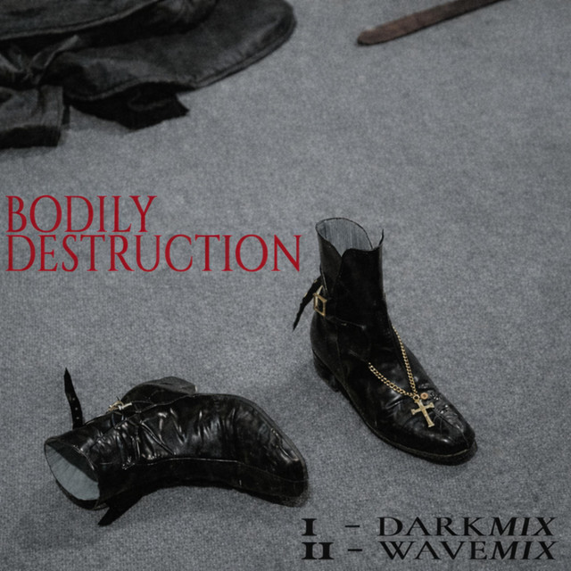 Bodily Destruction (wavemix) cover