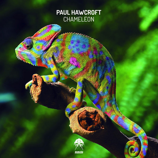 Chameleon cover art