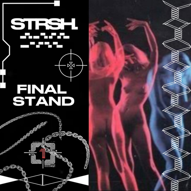 Final Stand cover art