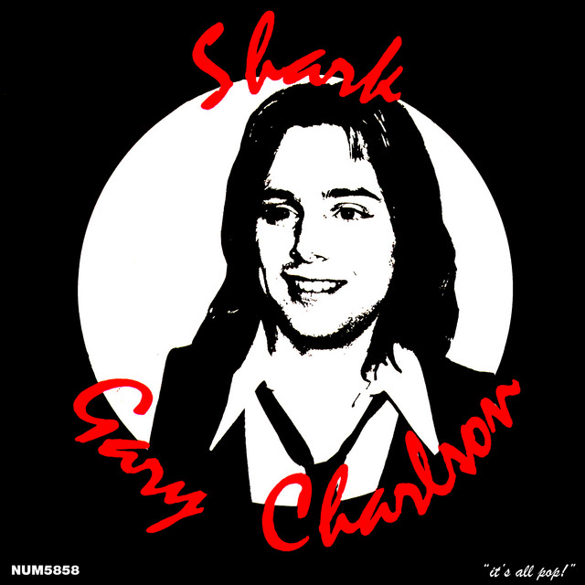 Shark cover