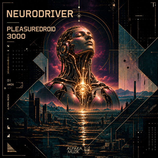 Pleasuredroid 3000 cover