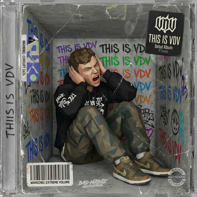 THIS IS VDV cover art