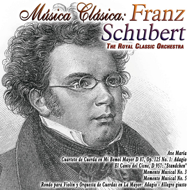 Música Clásica: Franz Schubert - Album by Franz Schubert | Spotify