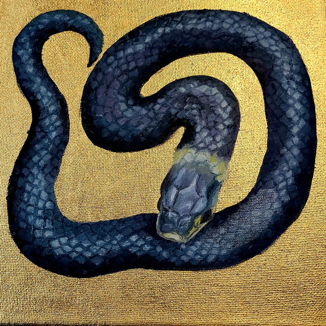 Distrussed cover art