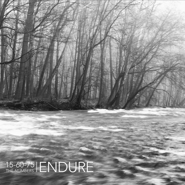 Endure cover