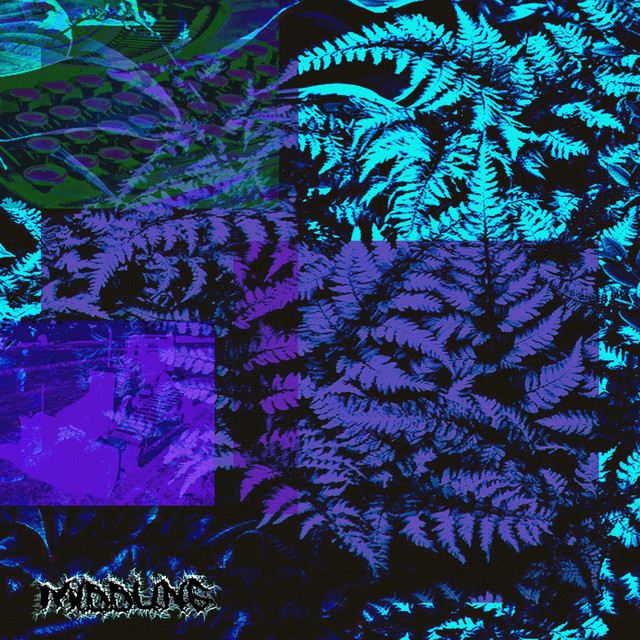 This I Know for Certain cover art