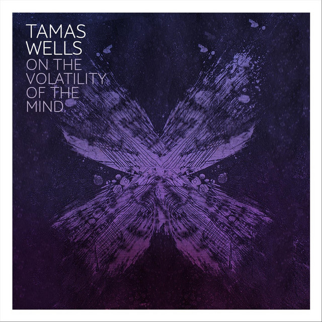 On The Volatility Of The Mind cover