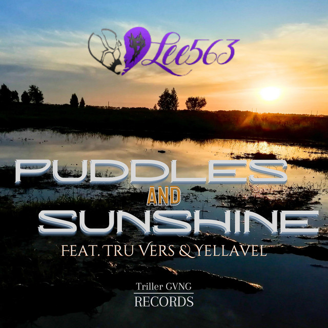 Puddles and Sunshine - Single by DLEE563 | Spotify