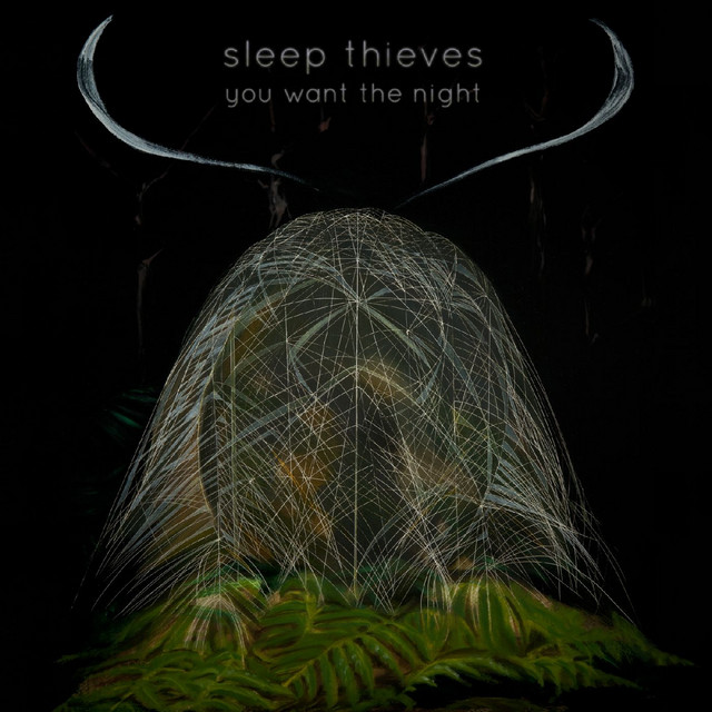 You Want The Night cover art