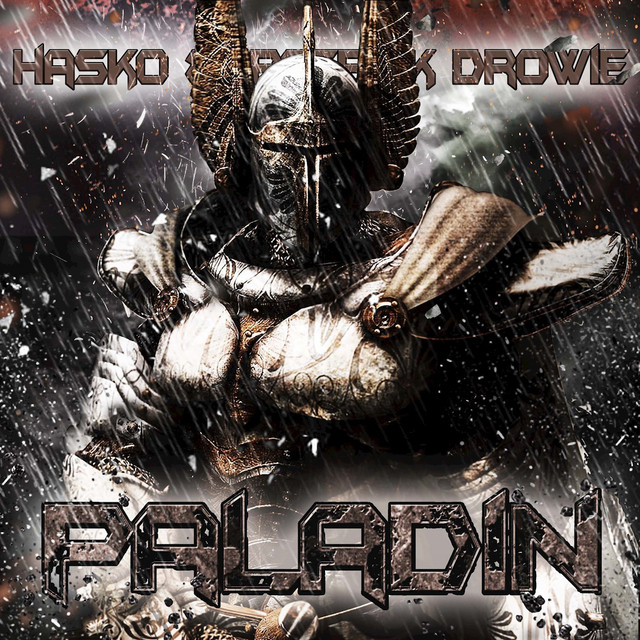 Paladin cover art