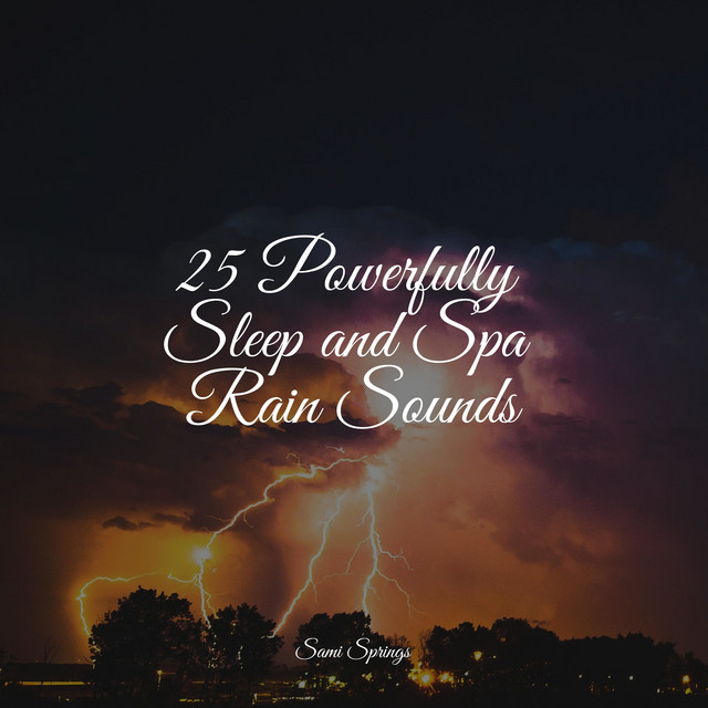 25 Powerfully Sleep and Spa Rain Sounds - Album by White Noise Baby ...