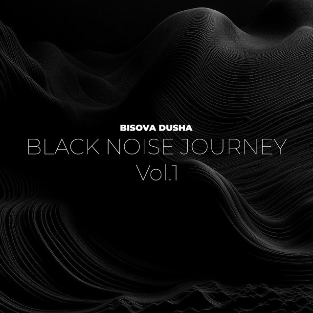 Обкладинка BISOVA DUSHA — Black Noise Journey, Vol. 1