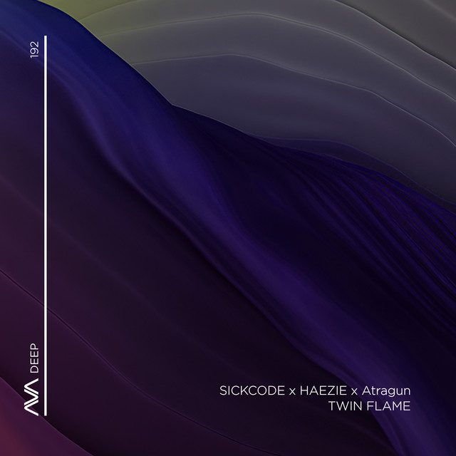 Twin Flame cover art
