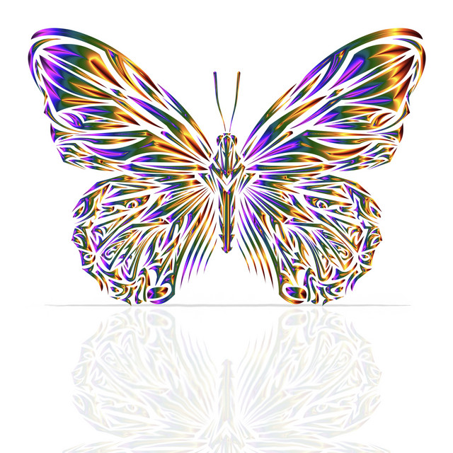 Butterfly cover art