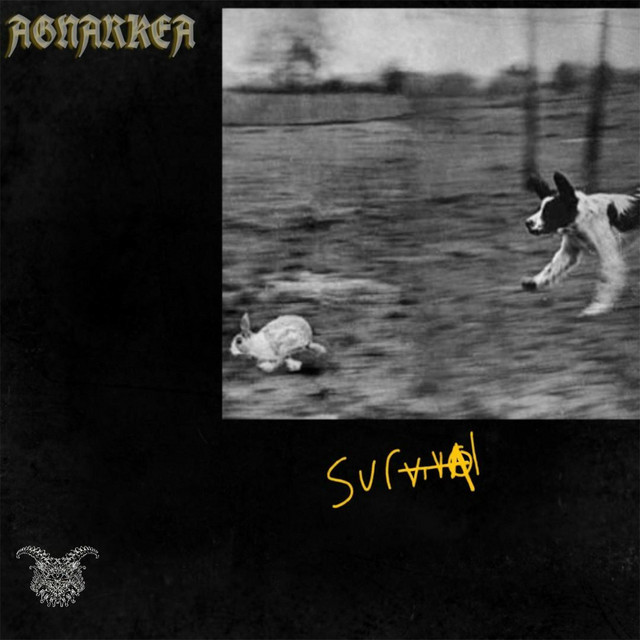 Survival cover art