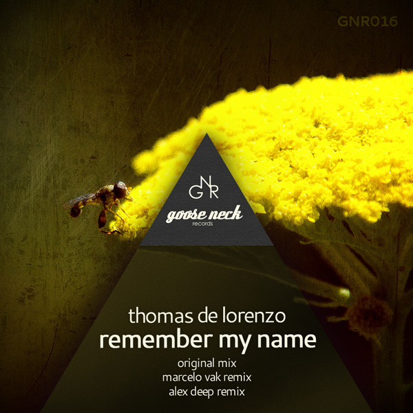 Remember My Name cover art