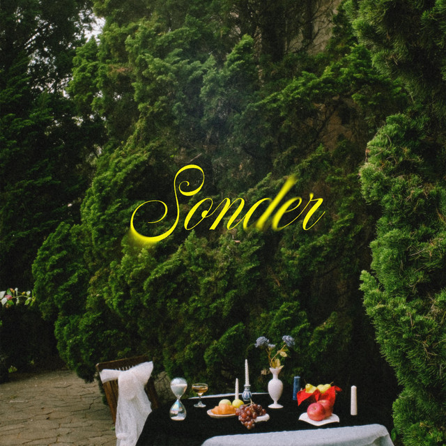 Sonder cover art