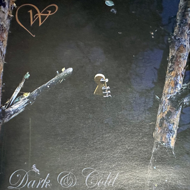 Dark & Cold cover art