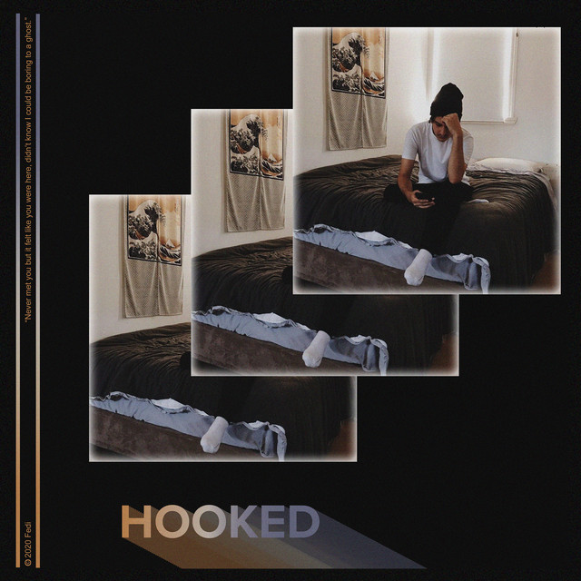 Hooked cover art