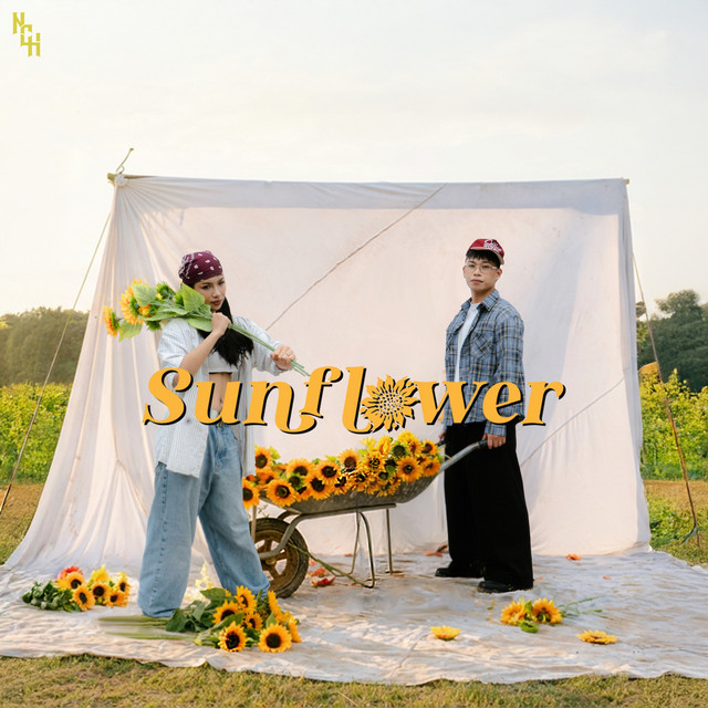 Sunflower cover