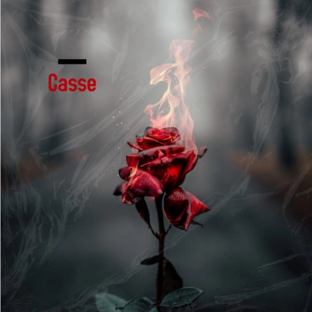case cover art