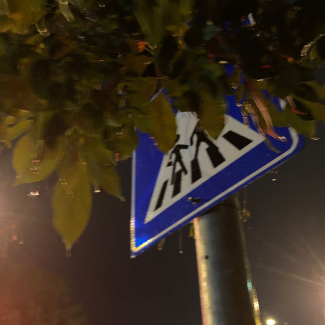 Haykıracak Nefesim Kalmasa Bile cover art