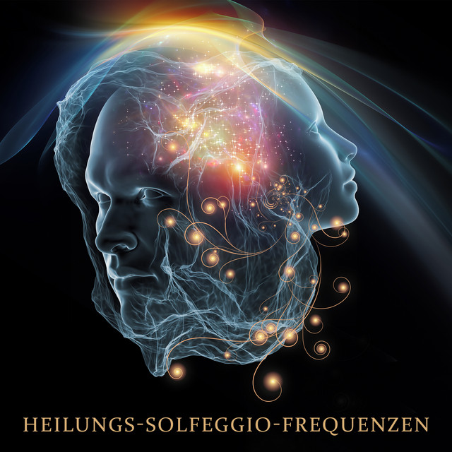 astralreisen vibration Leder-Hoden- und Penisring Größe L | Leder-Cockringe | Cock-Rings | Fetisch  & SM-Bedarf main image 0