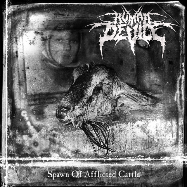 Spawn of Afflicted Cattle cover