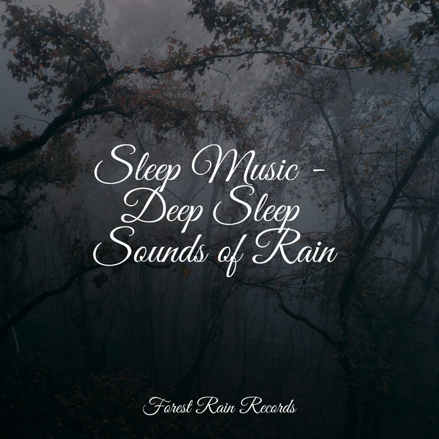 Sleep Music - Deep Sleep Sounds of Rain - Album by Naturaleza Sonidos ...