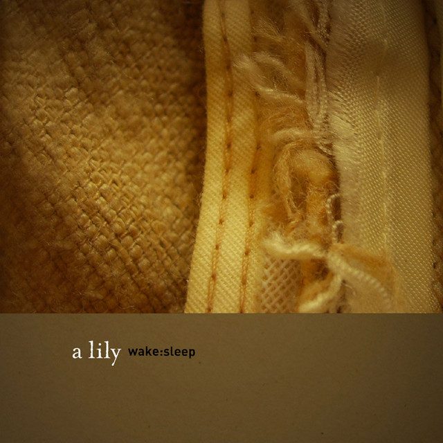 wake:sleep cover art