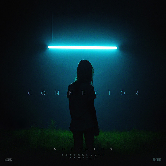 Connector cover art