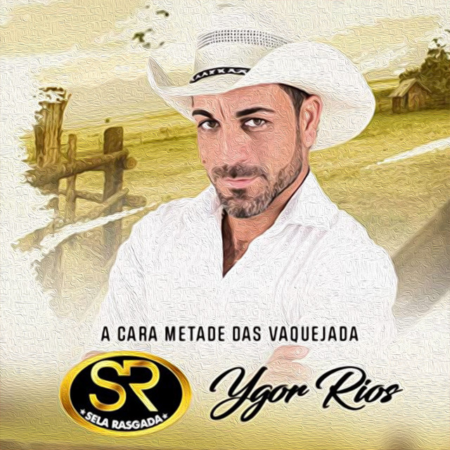 A Cara Metade das Vaquejada cover art