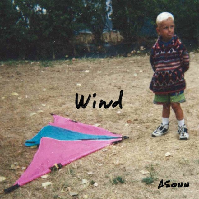 Wind cover art