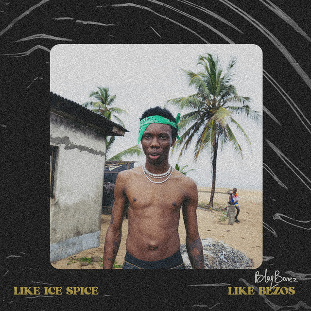 Like Ice Spice / Bezos cover art
