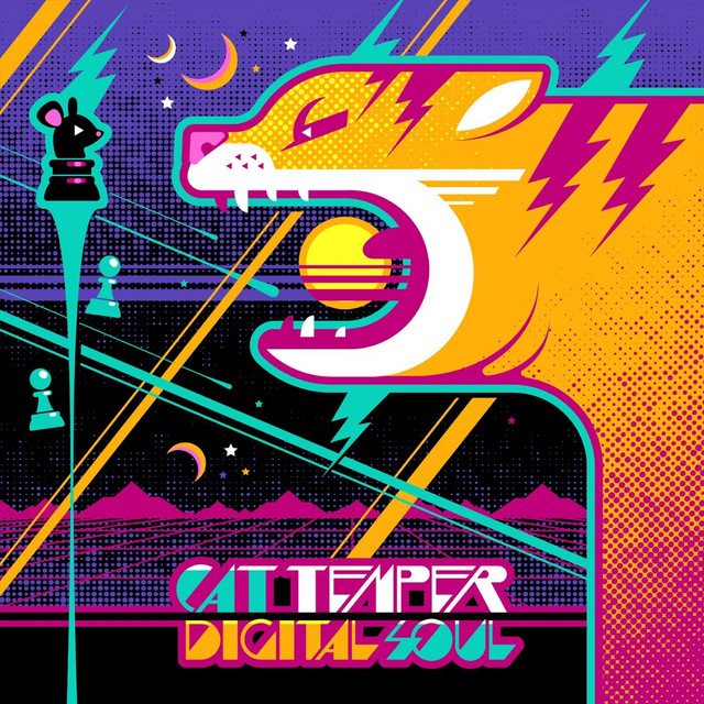 Digital Soul cover