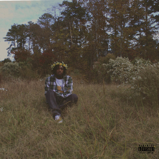 Like a Sunflower... In Bloom cover art
