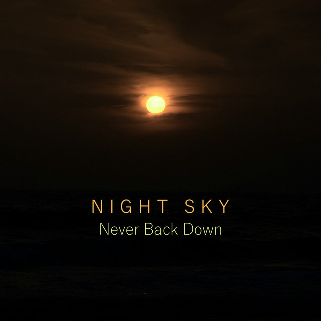 Never Back Down cover art