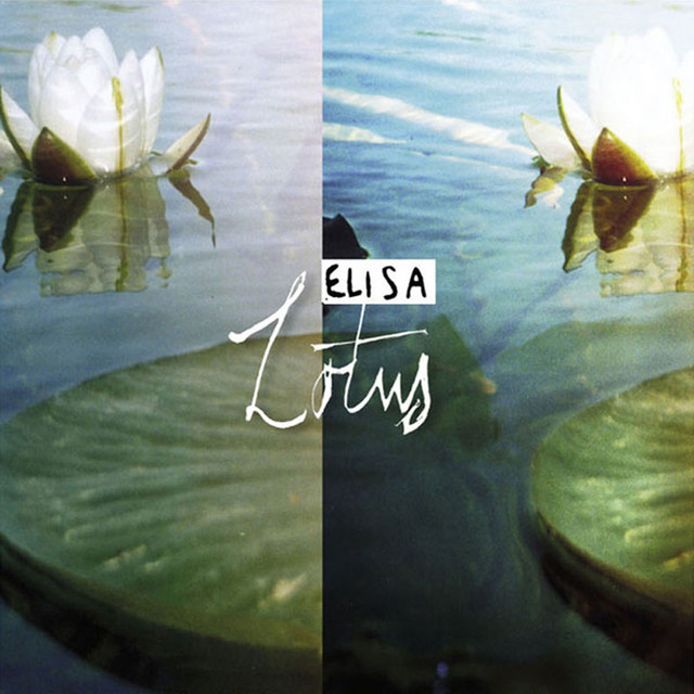 Lotus cover art