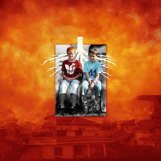 Radici cover art