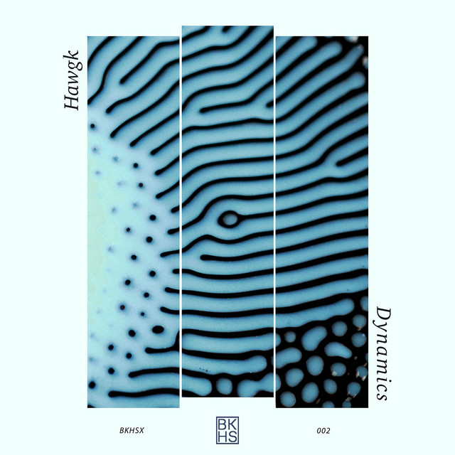 Dynamics cover art