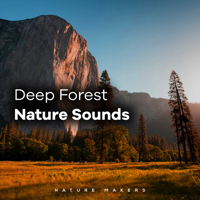 Deep Forest Nature Sounds - EP by Nature Makers | Spotify