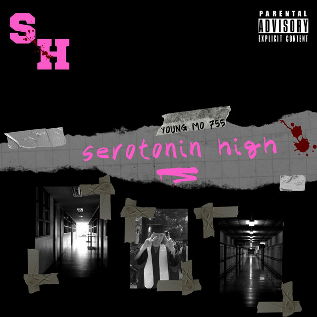 Serotonin High cover art