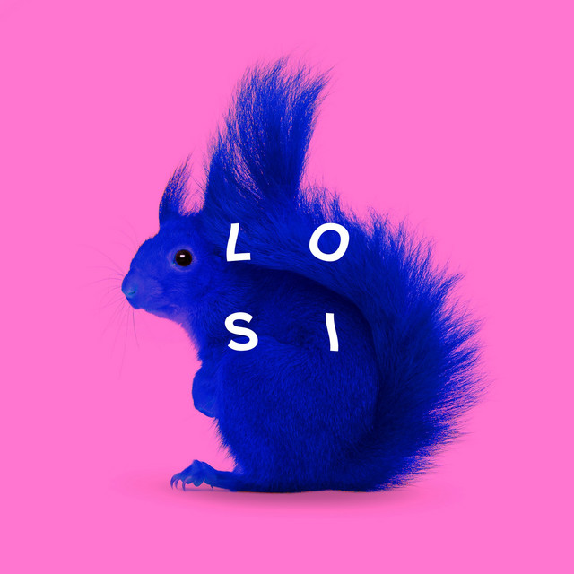 SQUIRREL cover
