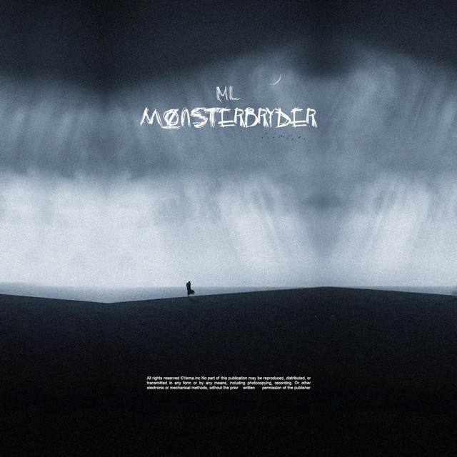Mønsterbryder cover art